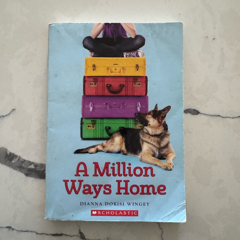 A Million Ways Home